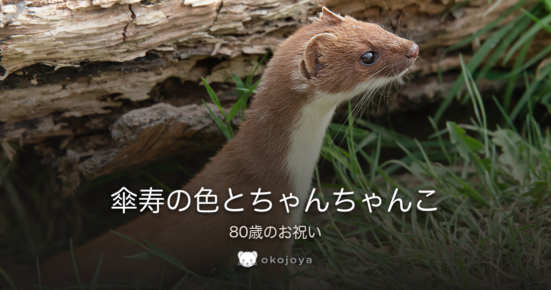 傘寿の色とちゃんちゃんこ