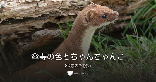 傘寿の色とちゃんちゃんこ