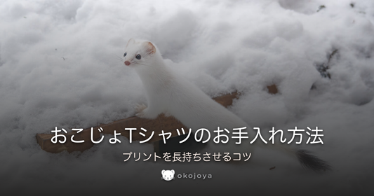 おこじょTシャツのお手入れ方法