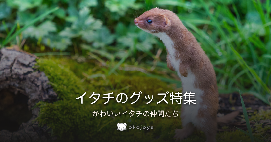 イタチのグッズ特集