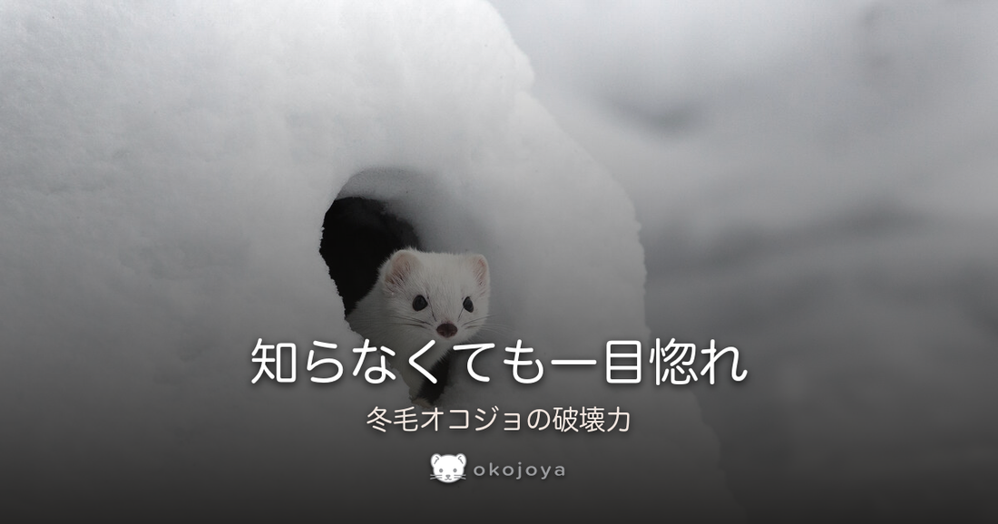 知らなくても一目惚れ