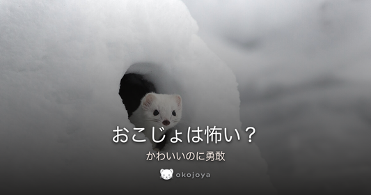 おこじょは怖い？