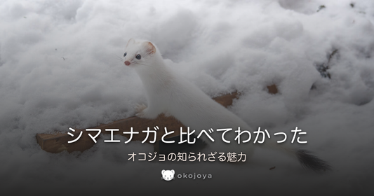 シマエナガと比べてわかった