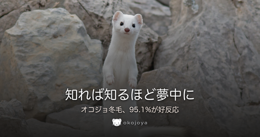 知れば知るほど夢中に