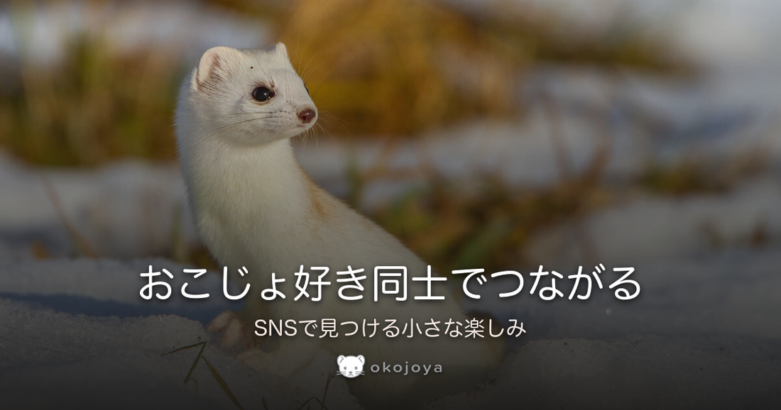 おこじょ好き同士でつながる