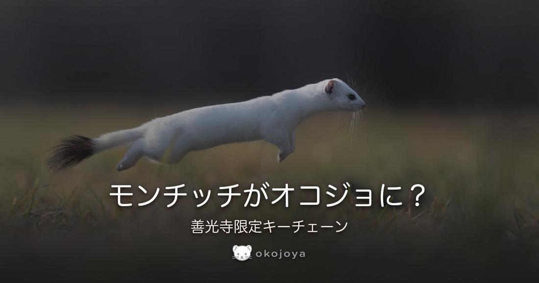 モンチッチがオコジョに？