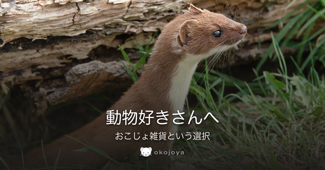 動物好きさんへ