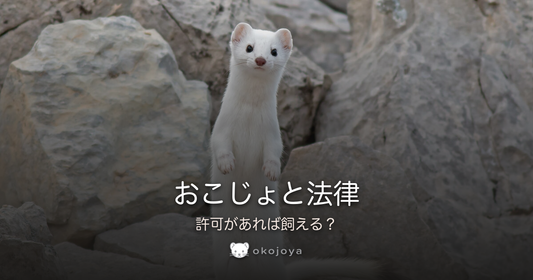おこじょと法律