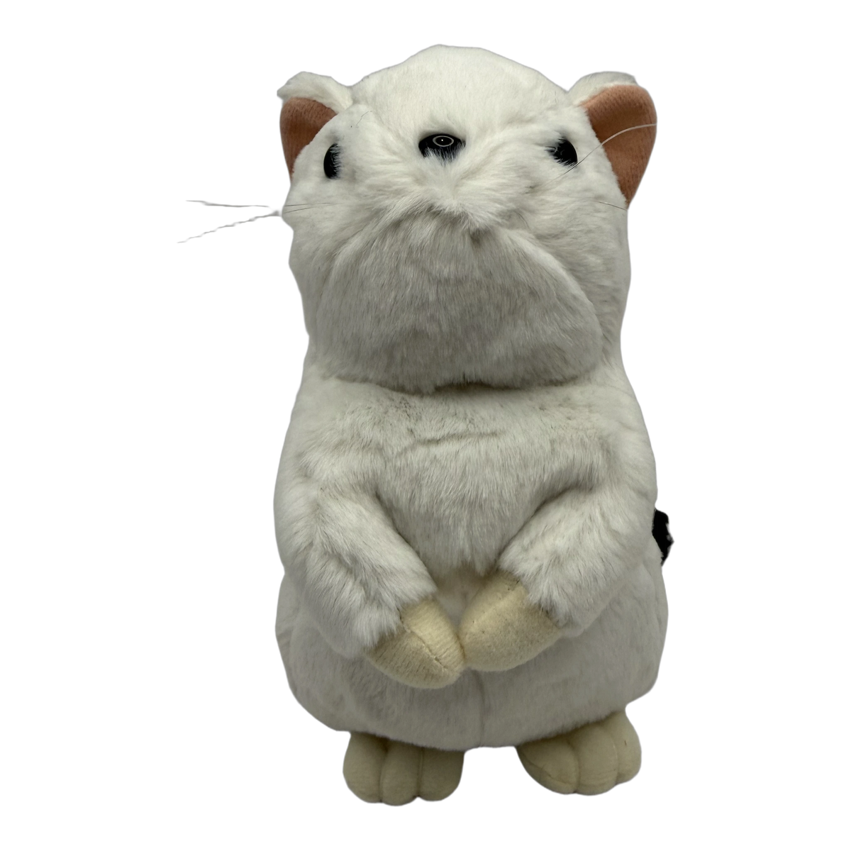 Ty Inc おこじょぬいぐるみ M 冬毛(白) 正面