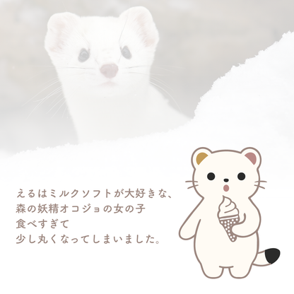 雪が降ると毛色が変わるオコジョの豆知識カード（防水ステッカー「オコジョのえる」）